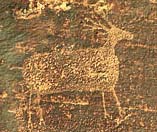 Petroglyph, deer, Arches National Park, Moab, Utah.