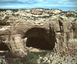 betatakin alcove