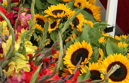 sunflowers and gladiolas
